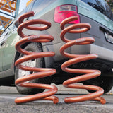 Aerogenics x Swift / Heavy Duty Rear Springs - 03-11 Honda Element